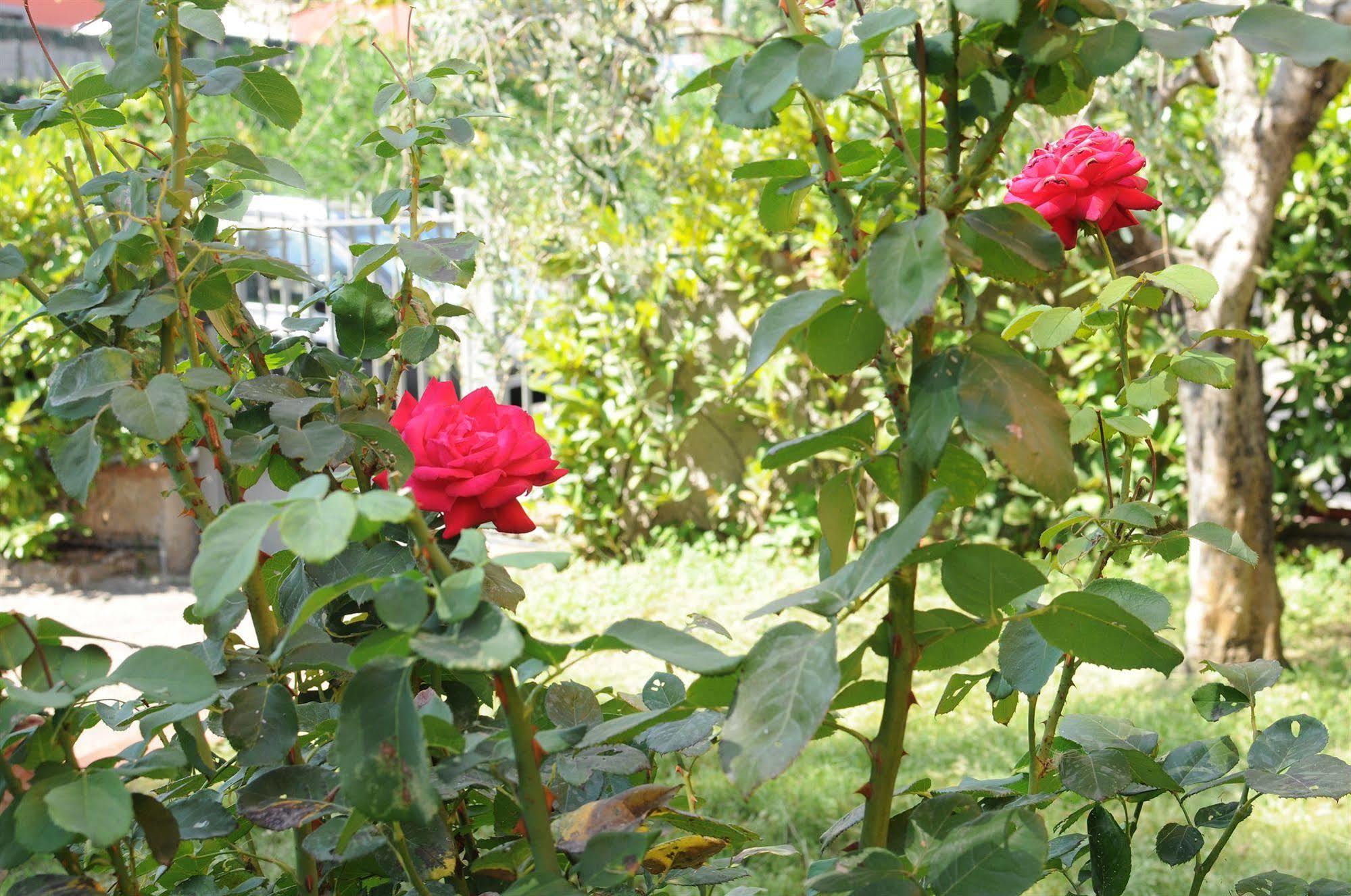 Marinetta Bed & Breakfast Signa Exterior photo